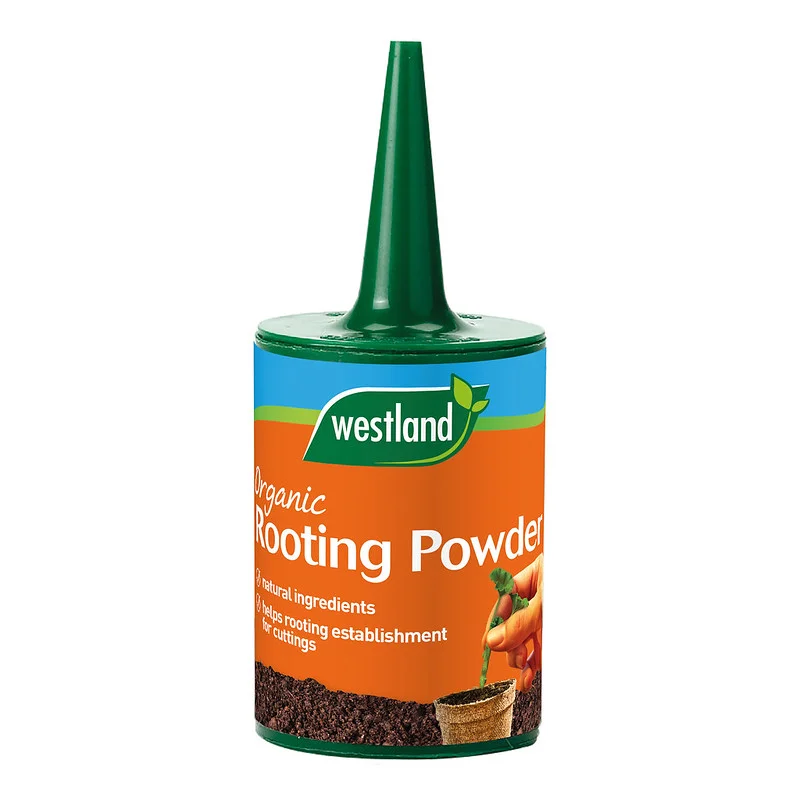 Rooting Powder 100g