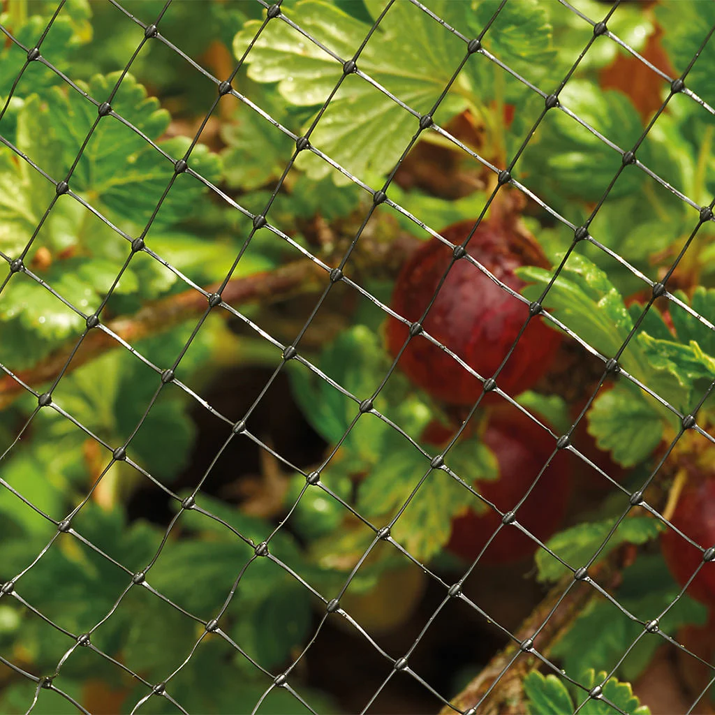 GM Grow It Crop & Pond Netting 4x2m