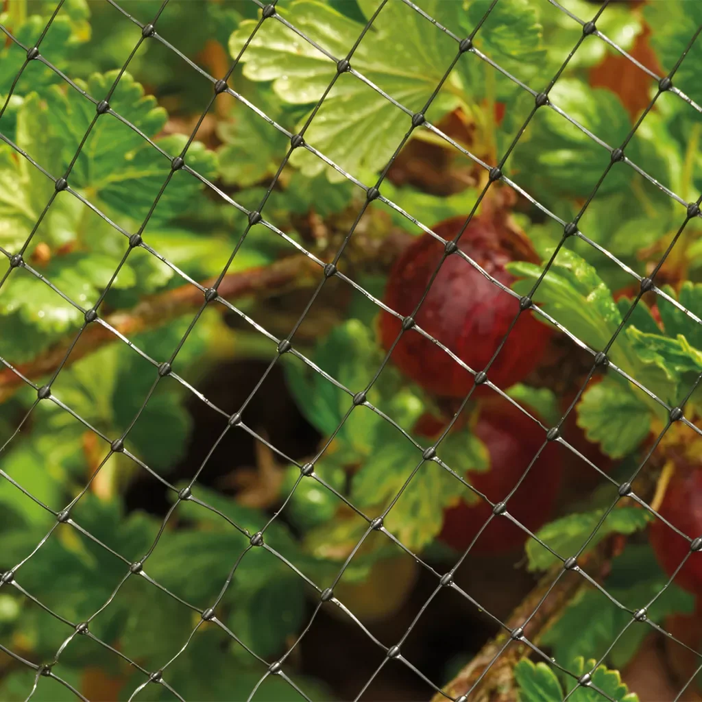 GM Grow It Crop & Pond Netting 8x2m