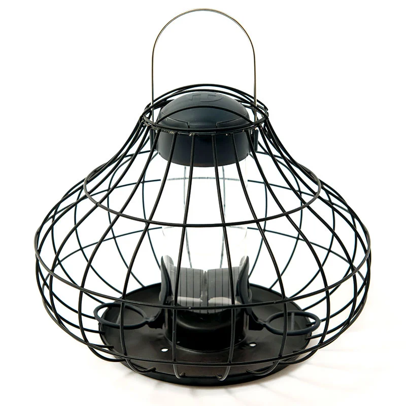 Ess Sqrl Resistant SEED Feeder