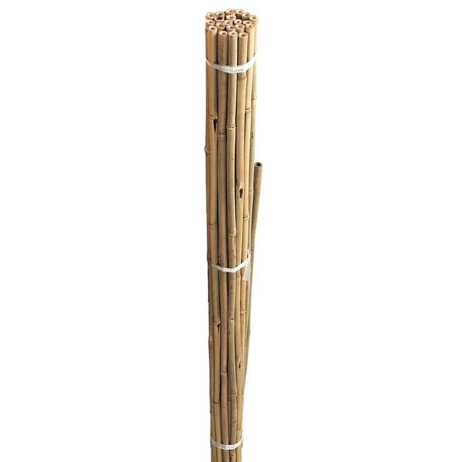 GM Grow It Bamboo Canes 240cm 8 10pk