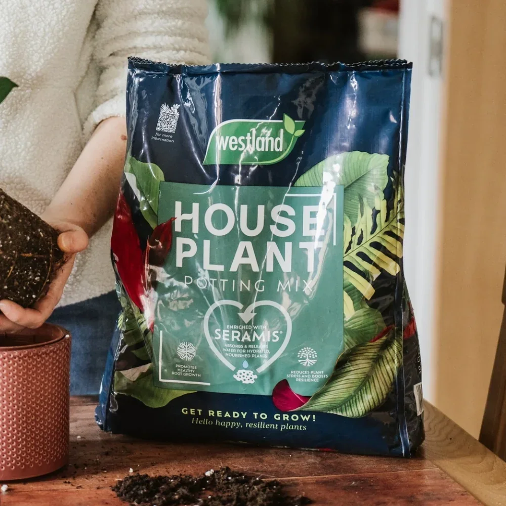 Houseplant Compost 25l