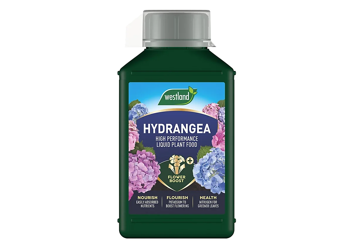 Hydrangea Specialist Liquid Feed 1L
